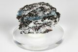 Blue Kyanite & Garnet in Biotite-Quartz Schist - Russia #178935-1